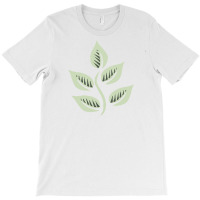 Leaf Drawing T-shirt | Artistshot