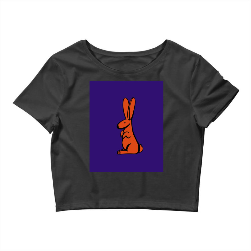 Rabbit With Long Ears Crop Top by TerryFoutch | Artistshot