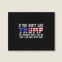 If You Don't Like Trump Then You Won't Like Me Landscape Canvas Print | Artistshot