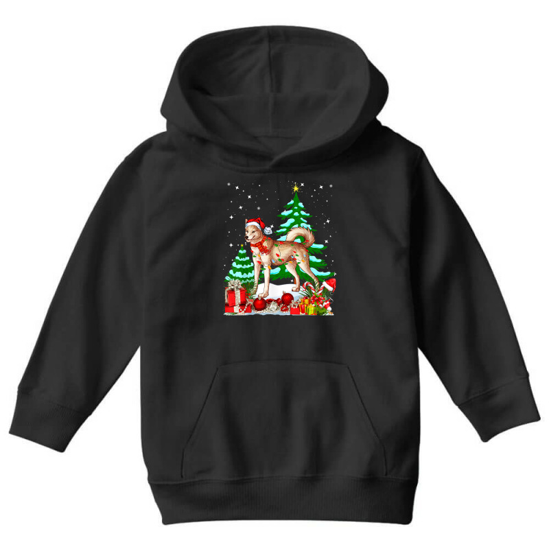 Funny Canaan Dog Christmas Xmas Cute Youth Hoodie by Color | Artistshot