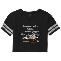 Anatomy Of A Australian Shepherd, Australian Shepherd Scorecard Crop Tee | Artistshot