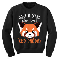 Red Panda Plushie Red Panda Tail Cute Red Panda Stuffed Toy T Shirt Youth Sweatshirt | Artistshot