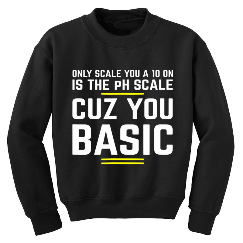 Only Scale You 10 On Is Ph Scale (basic) Science Youth Sweatshirt | Artistshot