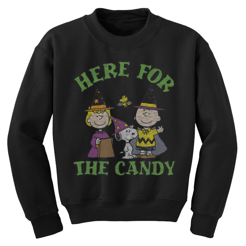 Peanuts Halloween Charlie Sally Here For The Candy Youth Sweatshirt by cm-arts | Artistshot