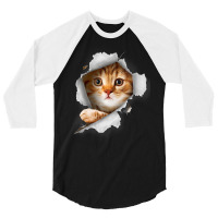 Ca, Orange Cat T Cat Torn Cloth Kitten 3/4 Sleeve Shirt | Artistshot