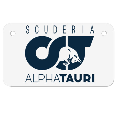 Alphatauri F1 Team Motorcycle License Plate Designed By Hannah