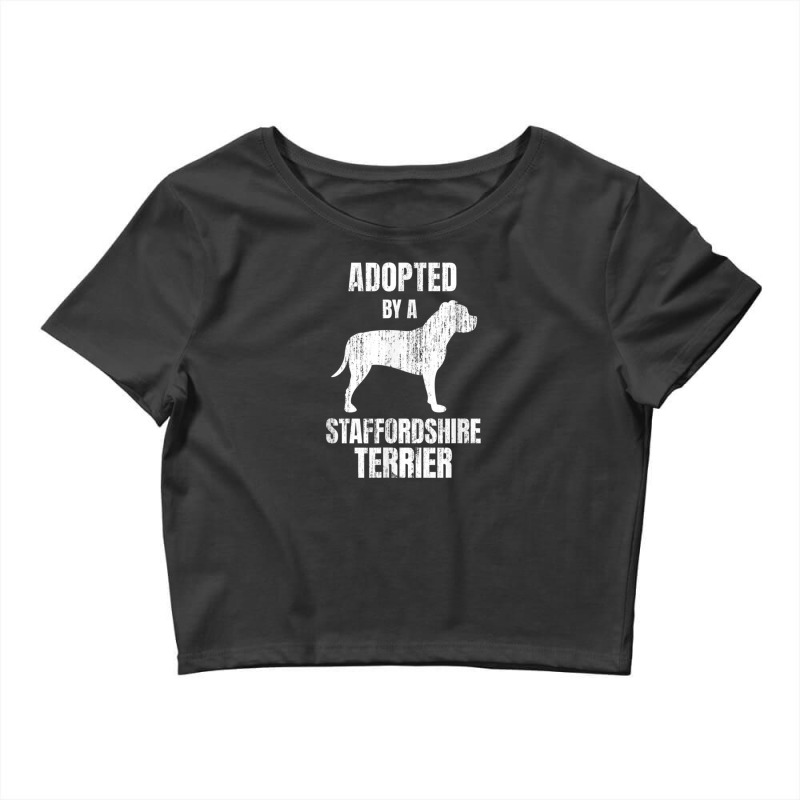 American Staffordshire Terrier 1 Crop Top by FrankJohnson | Artistshot