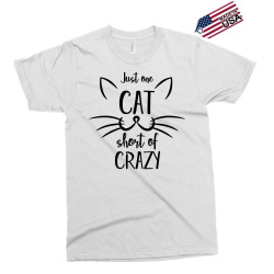 just one cat short of crazy Exclusive T-shirt | Artistshot