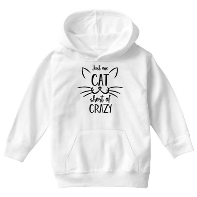 Just One Cat Short Of Crazy Youth Hoodie Designed By Desi