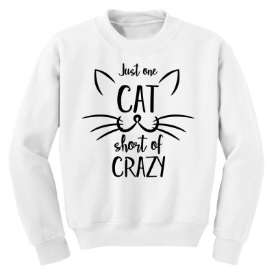Just One Cat Short Of Crazy Youth Sweatshirt Designed By Desi