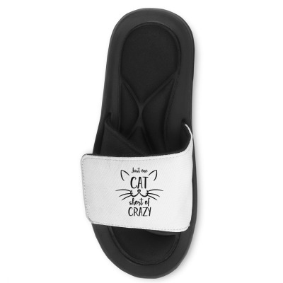 Just One Cat Short Of Crazy Slide Sandal Designed By Desi