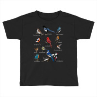 Garden Birds Cardinal Blue Jay Hummingbird Robin Wren Finch Toddler T-shirt | Artistshot