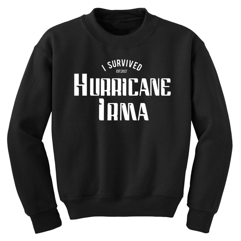 I Survived Hurricane Irma Youth Sweatshirt | Artistshot