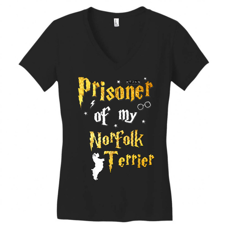 Norfolk Terrier Gifts   Norfolk Terrier Women's V-Neck T-Shirt by Posh | Artistshot