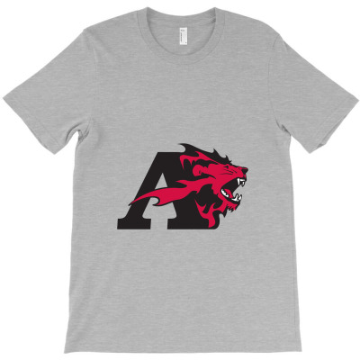Albright Merch,lions T-shirt Designed By Beom Seok Bobae