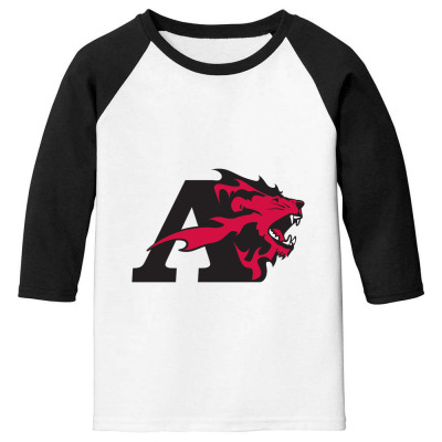 Albright Merch,lions Youth 3/4 Sleeve Designed By Beom Seok Bobae