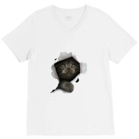 Cat Shirt, Gray Cat Tshirt, Cat Torn Cloth Shirt, Kitten V-neck Tee | Artistshot