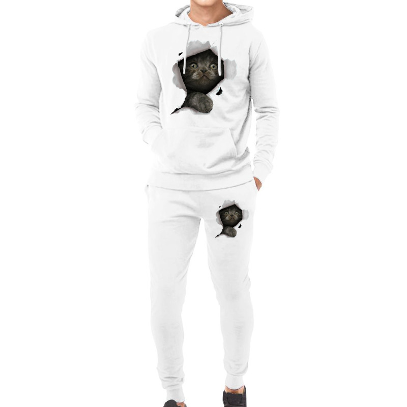 Cat Shirt, Gray Cat Tshirt, Cat Torn Cloth Shirt, Kitten Hoodie & Jogger Set | Artistshot