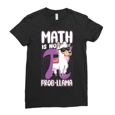 Math Teacher Nerd Student Formula Ladies Fitted T-shirt Designed By Bariteau Hannah