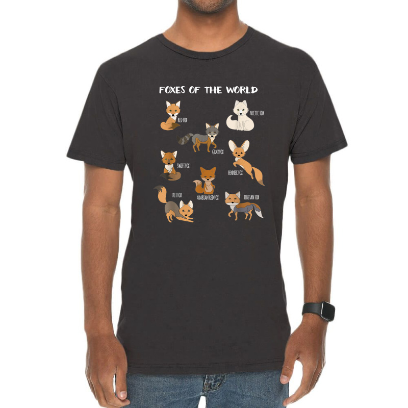 Foxes Of The World Funny Fox Animals Educational Vintage T-Shirt by Rainbow90 | Artistshot