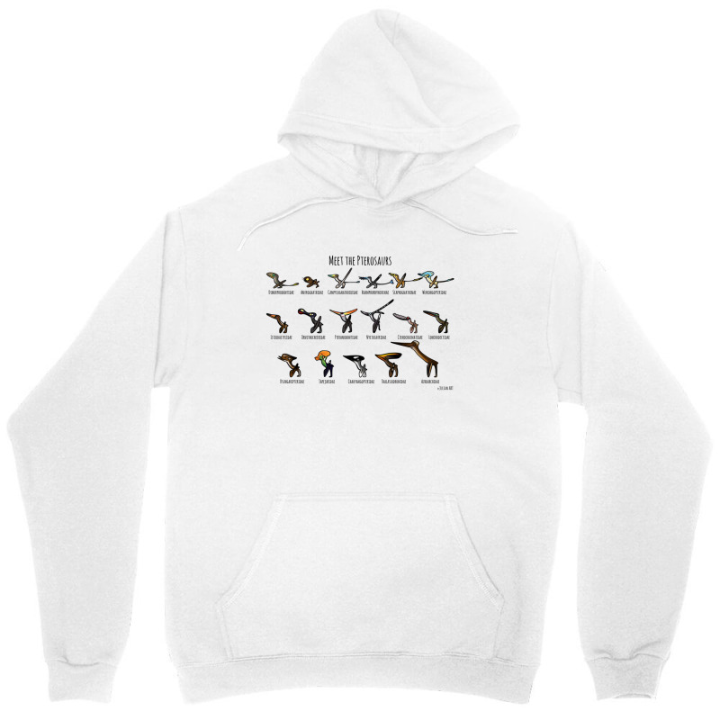 Meet The Pterosaurs For Boyfriend Unisex Hoodie | Artistshot