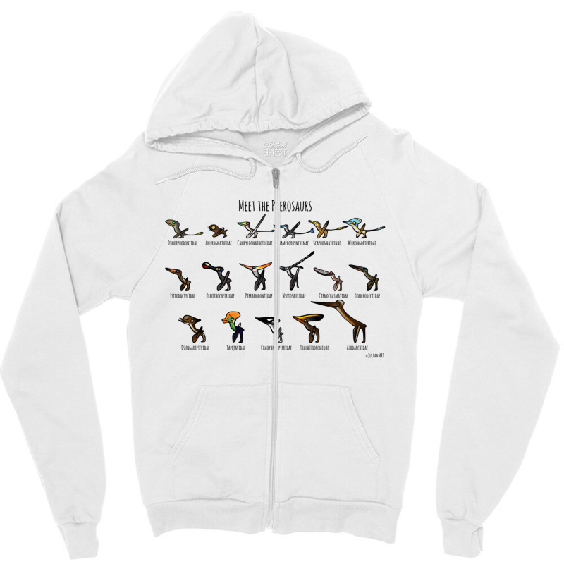 Meet The Pterosaurs For Boyfriend Zipper Hoodie | Artistshot