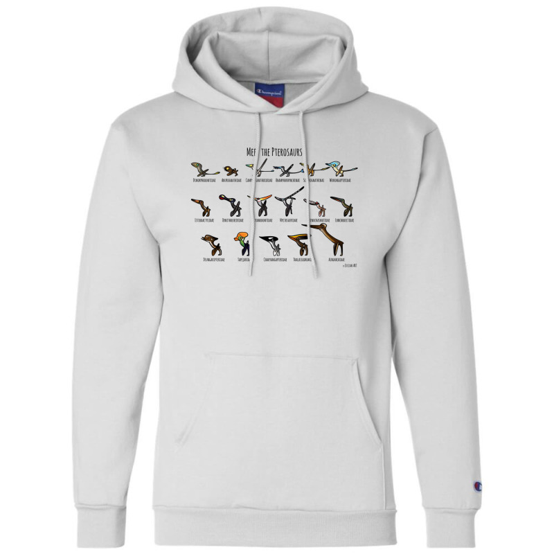 Meet The Pterosaurs For Boyfriend Champion Hoodie | Artistshot