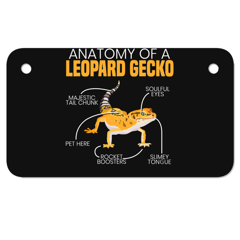 Anatomy Of A Leopard Gecko Lover Lizard Animal Reptile Motorcycle