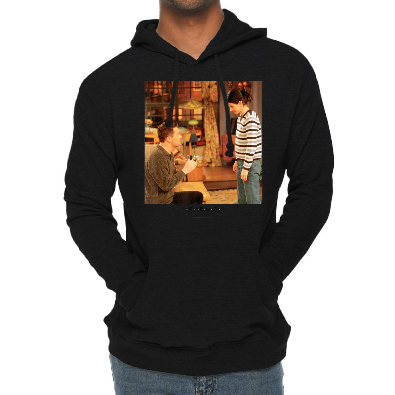 Friends Proposal Lightweight Hoodie | Artistshot