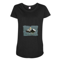 Pelican Landing In Water Maternity Scoop Neck T-shirt | Artistshot