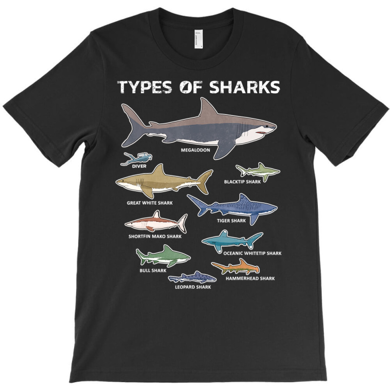 9 Types Of Sharks Educational Colorful Ocean T-shirt | Artistshot