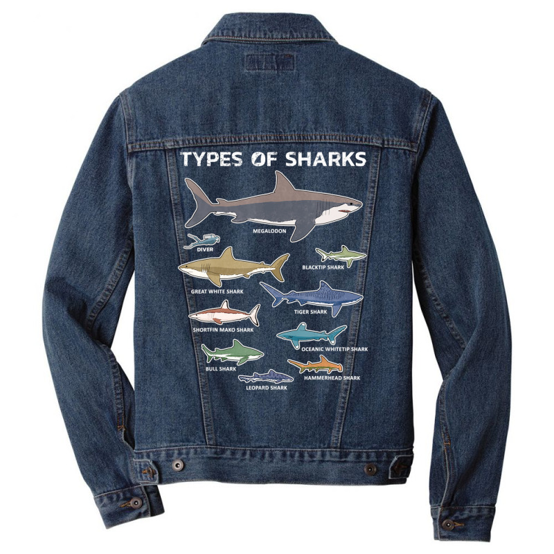 9 Types Of Sharks Educational Colorful Ocean Men Denim Jacket | Artistshot