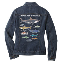 9 Types Of Sharks Educational Colorful Ocean Ladies Denim Jacket | Artistshot