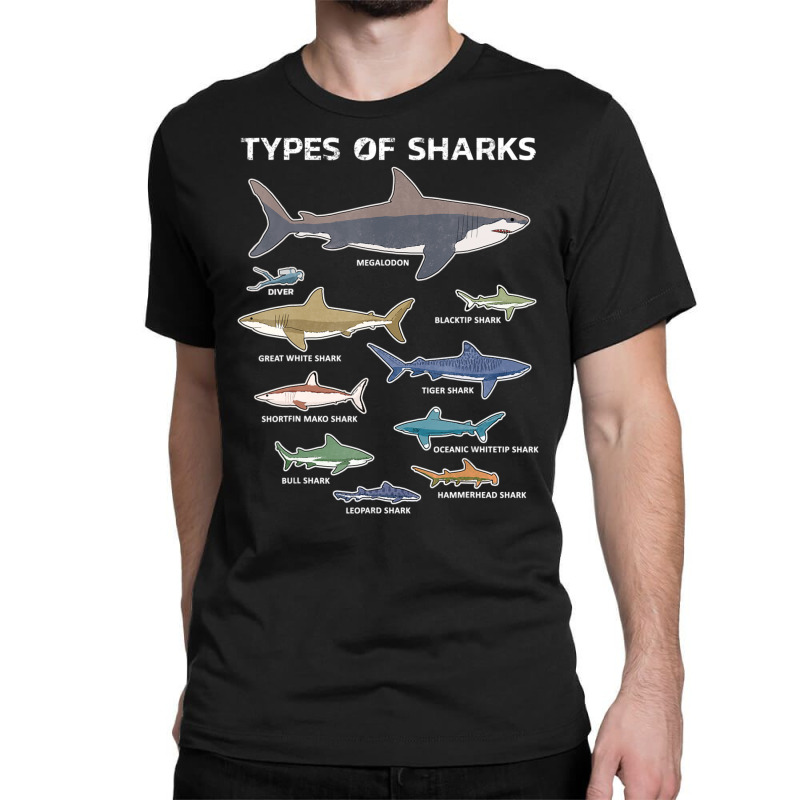 9 Types Of Sharks Educational Colorful Ocean Classic T-shirt | Artistshot