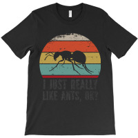 Funny I Just Really Like Ants Ok Funny I Just Really Like Ants O K T-shirt | Artistshot