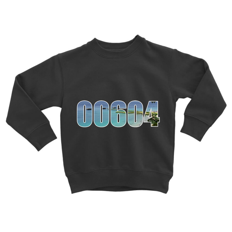 Aguadilla 00604 Zip Code Toddler Sweatshirt | Artistshot