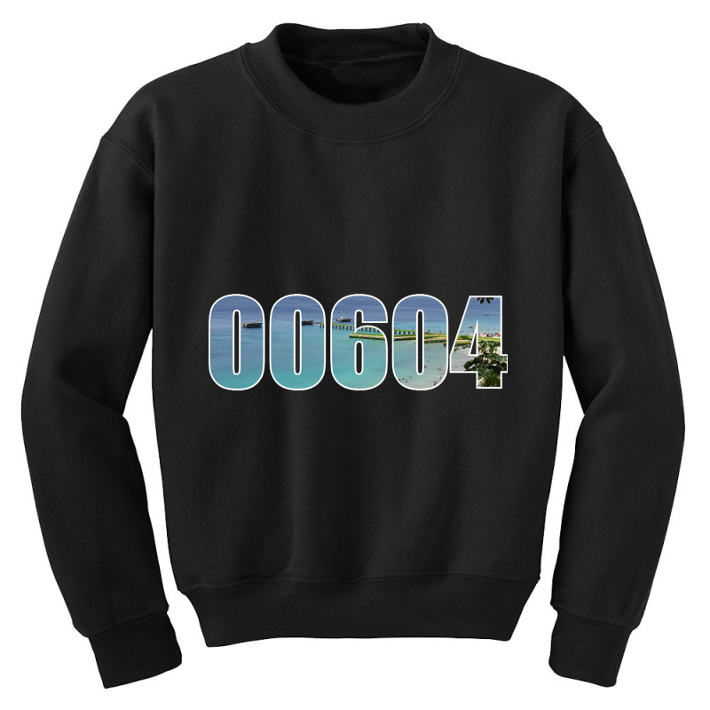 Aguadilla 00604 Zip Code Youth Sweatshirt | Artistshot