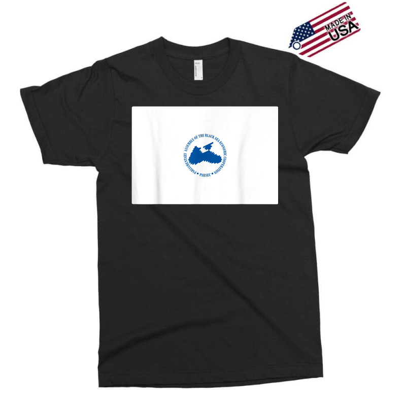 Private Sector Of The Americas Flag Exclusive T-shirt by Fashlaza | Artistshot