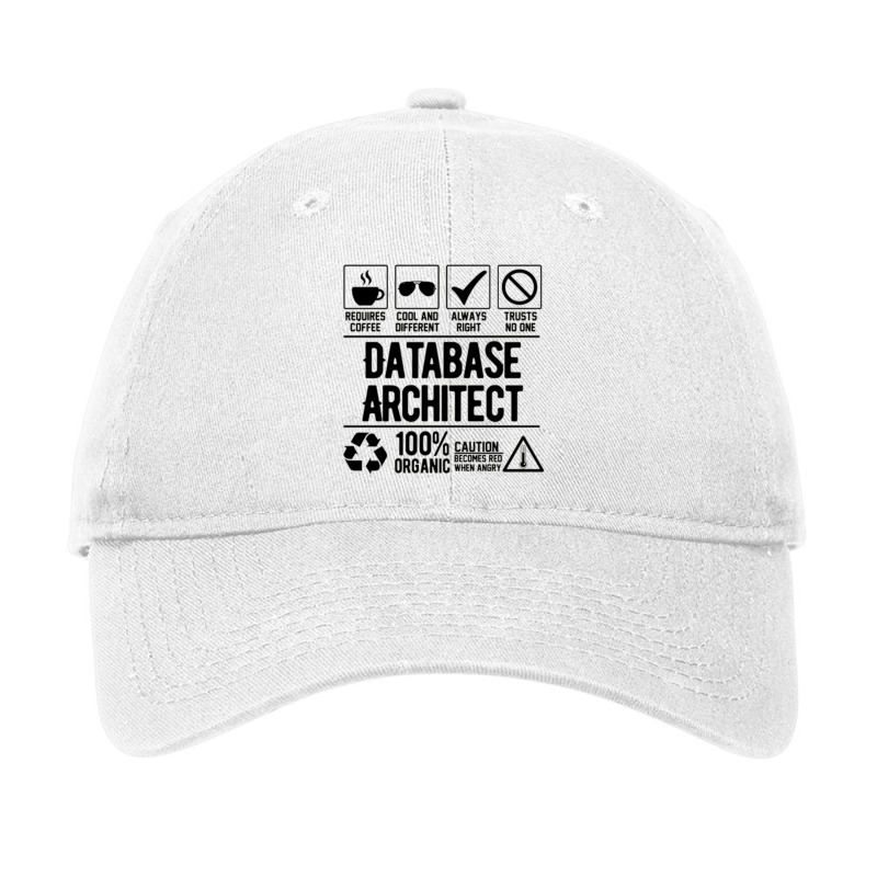 Database Architect Adjustable Cap by cm-arts | Artistshot