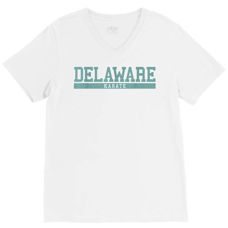 Delaware Karate T Shirt V-neck Tee | Artistshot