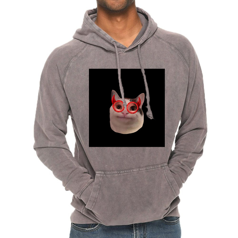 Beluga Cat Discord Pfp  Chiffon Top Vintage Hoodie | Artistshot