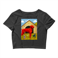 Clifford The Big Red Dog Crop Top | Artistshot