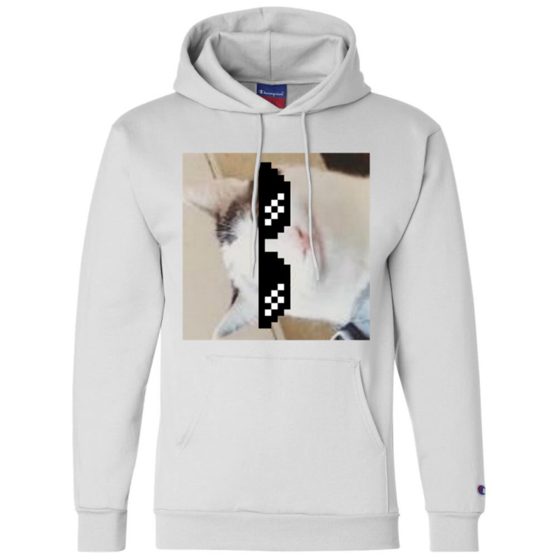 Beluga Discord Champion Hoodie | Artistshot