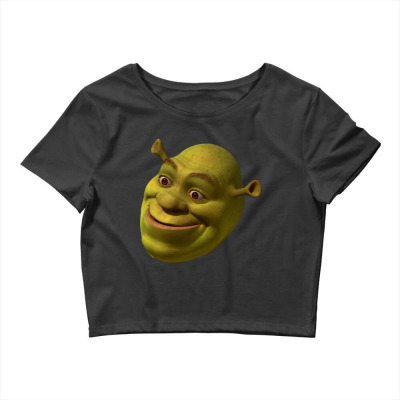 Shrek Funny 'WTF' Face Meme | Photographic Print