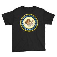 Federal Bonk Investigations   Cheems Doge Meme Pullover Hoodie Youth Tee | Artistshot