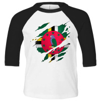 Womens Proud Dominican Shirts  Torn Ripped Dominica Flag V Neck T Shir Toddler 3/4 Sleeve Tee | Artistshot