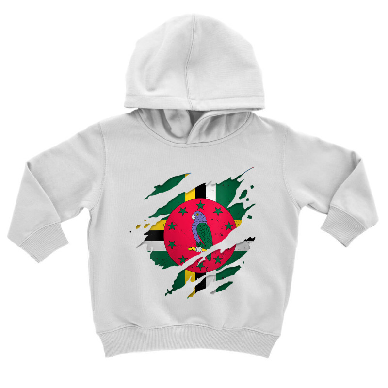 Womens Proud Dominican Shirts  Torn Ripped Dominica Flag V Neck T Shir Toddler Hoodie by cm-arts | Artistshot