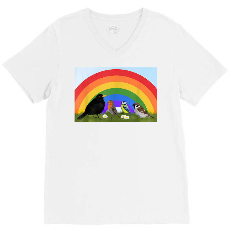 Blackbird Robin Rainbow Bird Birdlover Birdwatcher Biologist T Shirt V-Neck Tee by cm-arts | Artistshot