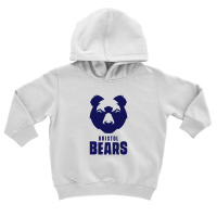 The Bristol Bears Toddler Hoodie | Artistshot