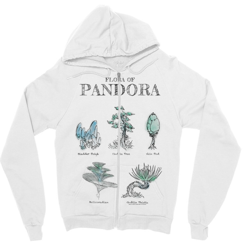 Avatar Floral Of Pandora Textbook Sketches Raglan Baseball Tee Zipper Hoodie | Artistshot